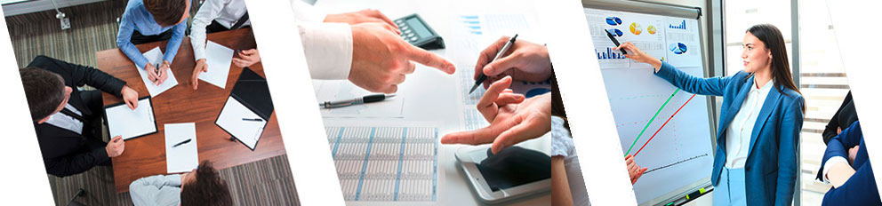 IT-Projektmanagement Kapitalanlage Immobilien Projektcontrolling ERP-System Immobilienverwaltung